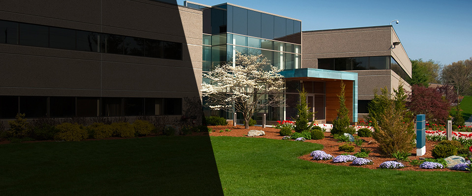 Newtown Square Landscapers