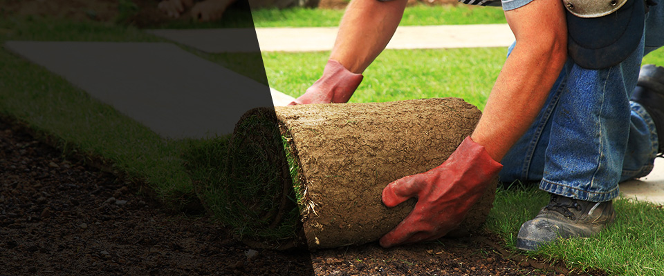 Newtown Square Landscapers